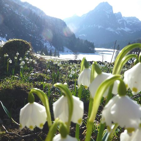 Berghotel Obersee Нефельс Экстерьер фото