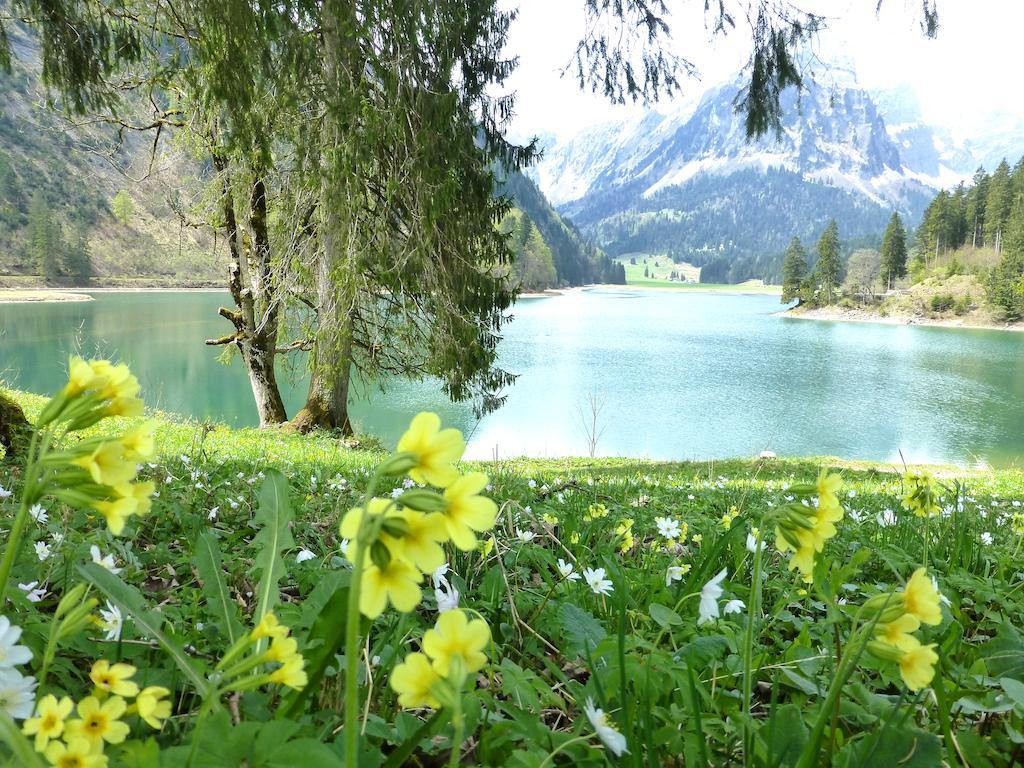 Berghotel Obersee Нефельс Экстерьер фото