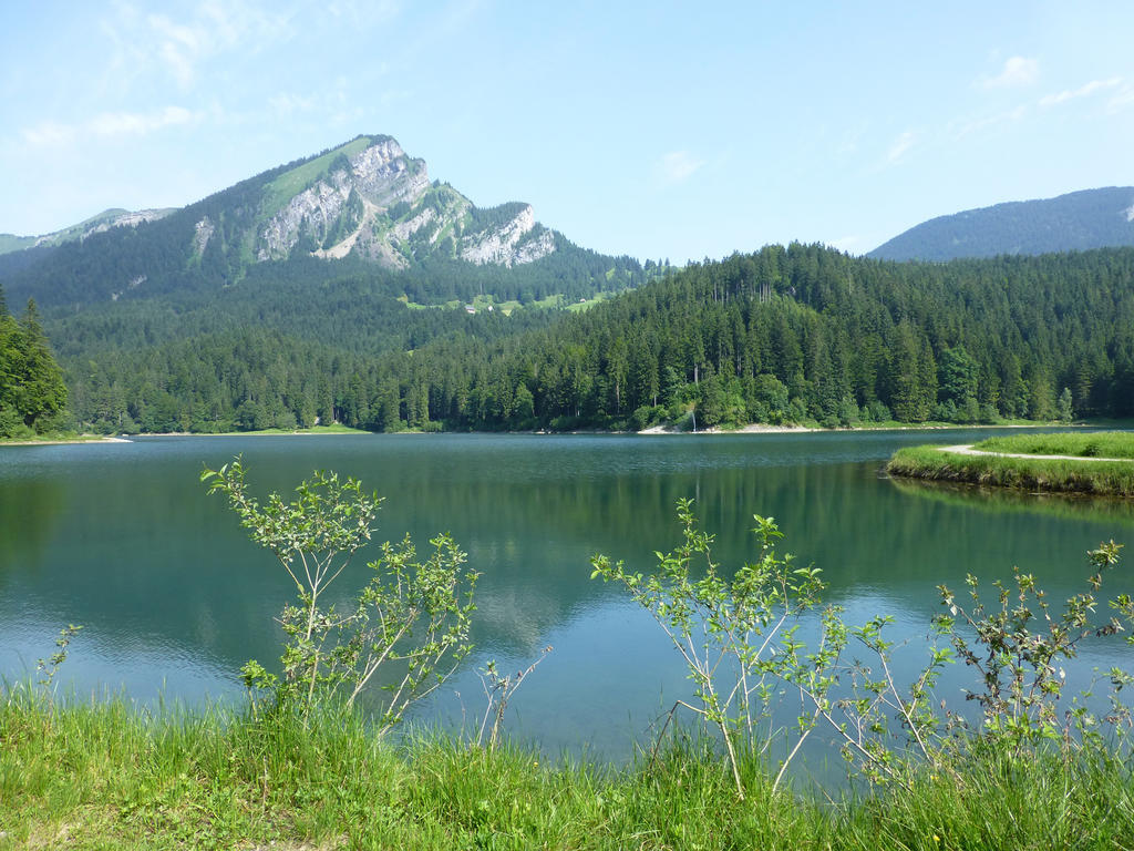 Berghotel Obersee Нефельс Экстерьер фото