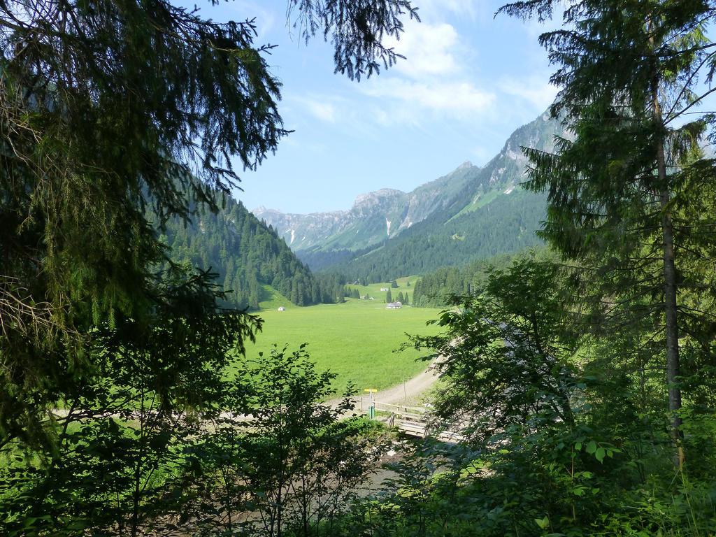 Berghotel Obersee Нефельс Экстерьер фото